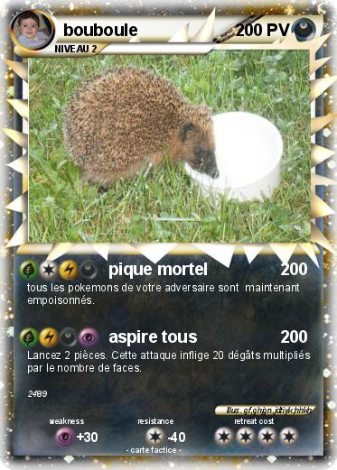 Pokemon bouboule