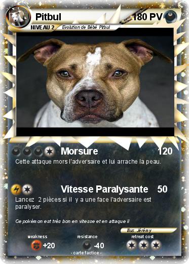 Pokemon Pitbul