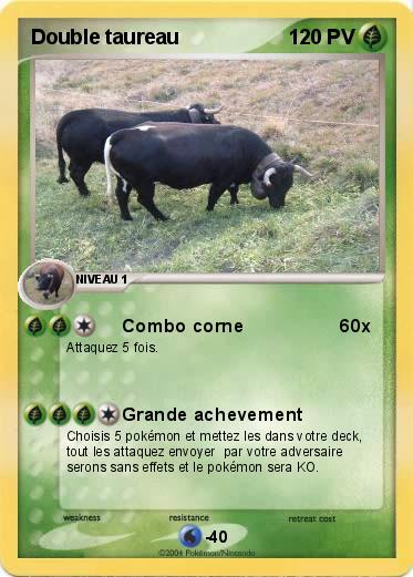 Pokemon Double taureau