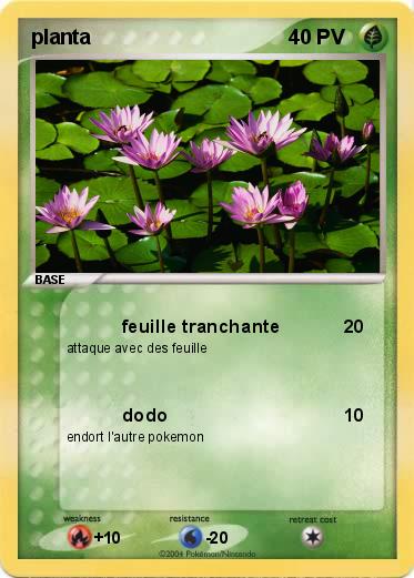 Pokemon planta