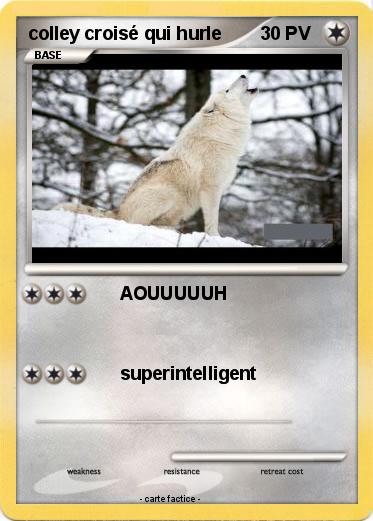 Pokemon colley croisé qui hurle