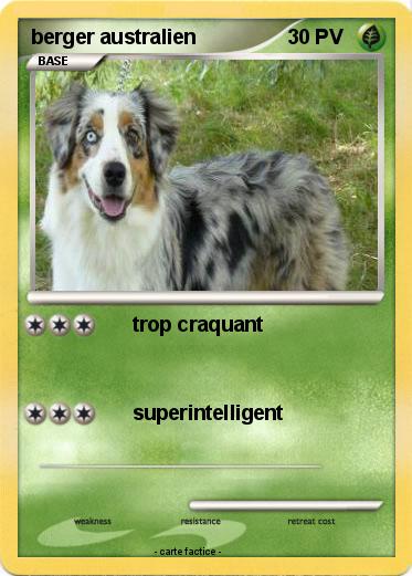 Pokemon berger australien