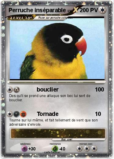 Pokemon Perruche inséparable