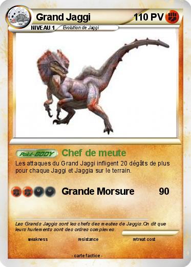 Pokemon Grand Jaggi