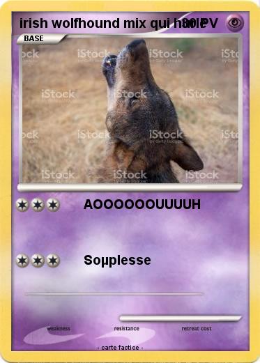 Pokemon irish wolfhound mix qui hurle