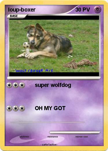 Pokemon loup-boxer