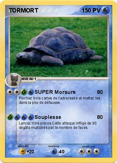 Pokemon TORMORT