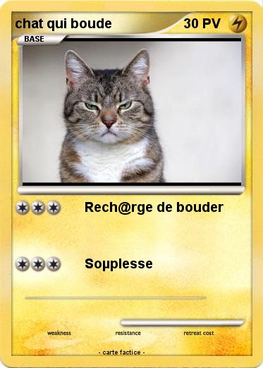 Pokemon chat qui boude