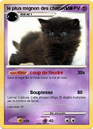 Pokemon le plus mignon des chaton