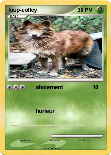 Pokemon loup-colley