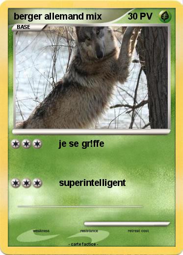 Pokemon berger allemand mix