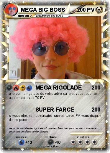 Pokemon MEGA BIG BOSS