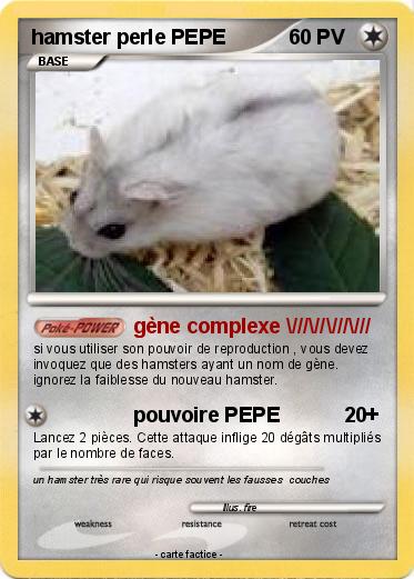Pokemon hamster perle PEPE