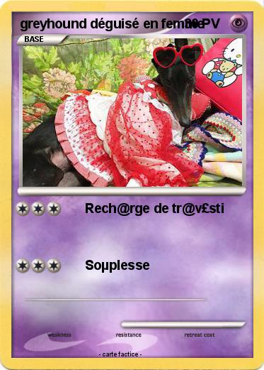 Pokemon greyhound déguisé en femme