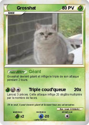 Pokemon Grosshat