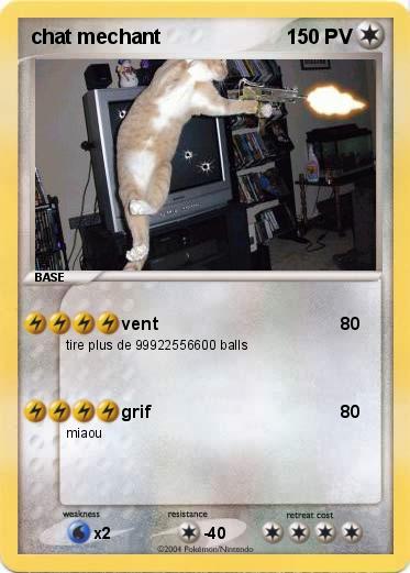 Pokemon chat mechant