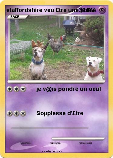 Pokemon staffordshire veu £tre une poule