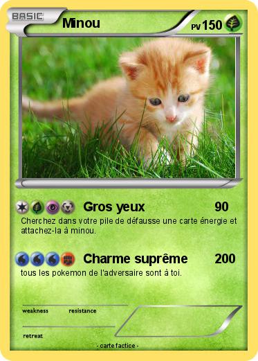 Pokemon Minou