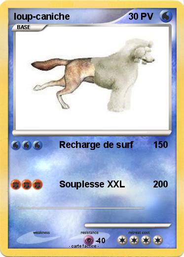 Pokemon loup-caniche