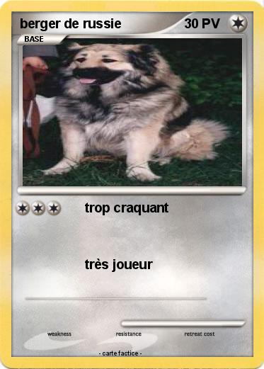Pokemon berger de russie