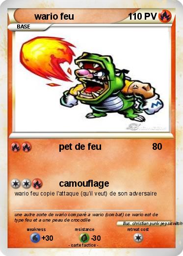 Pokemon wario feu