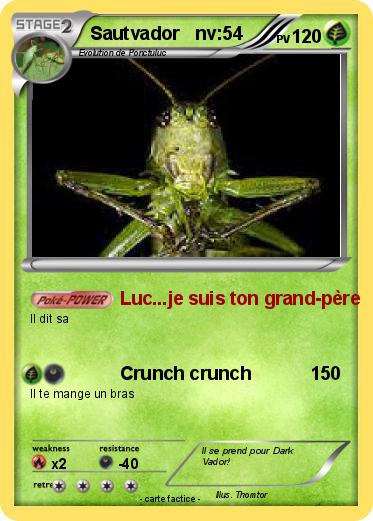 Pokemon Sautvador   nv:54