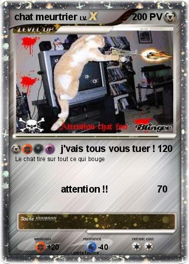Pokemon chat meurtrier
