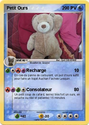 Pokemon Petit Ours