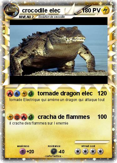 Pokemon crocodile elec