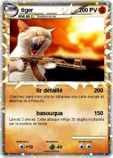 Pokemon tiger