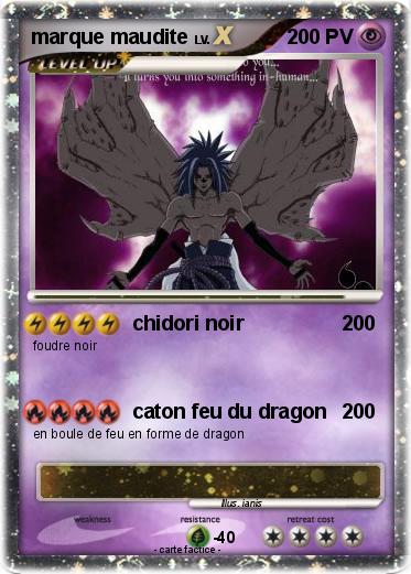 Pokemon marque maudite