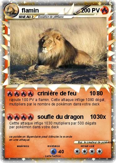 Pokemon flamin