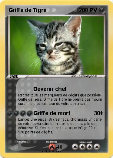 Pokemon Griffe de Tigre