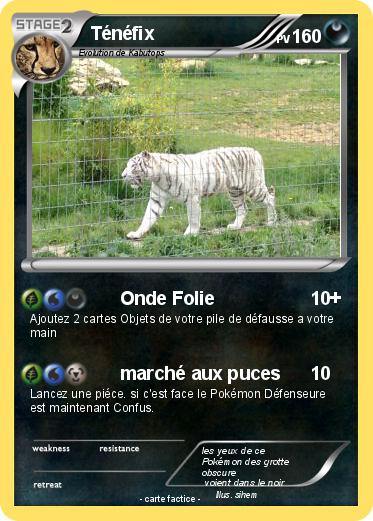 Pokemon Ténéfix
