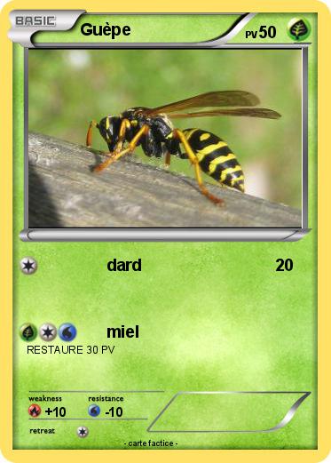 Pokemon Guèpe