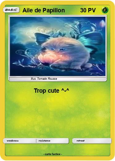 Pokemon Aile de Papillon
