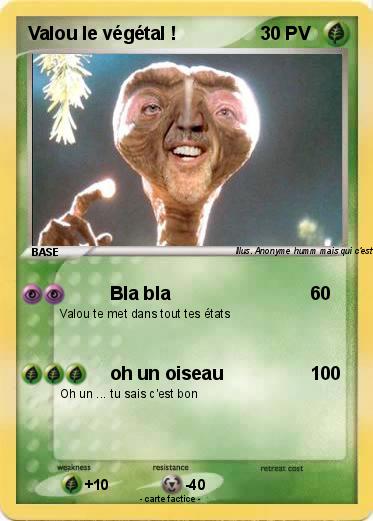 Pokemon Valou le végétal !