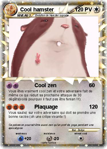 Pokemon Cool hamster