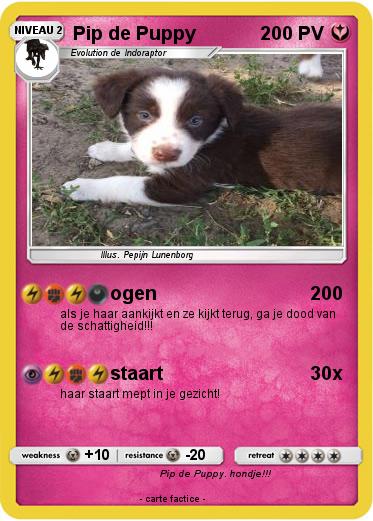 Pokemon Pip de Puppy
