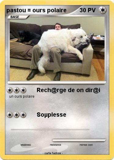 Pokemon pastou = ours polaire