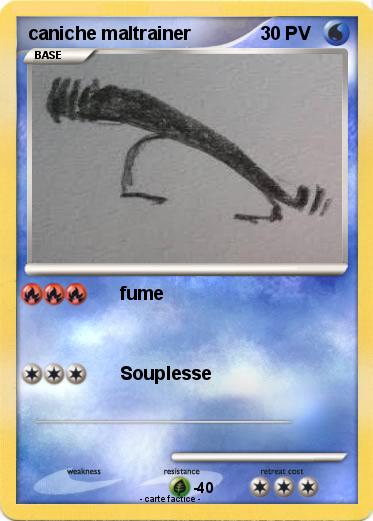 Pokemon caniche maltrainer