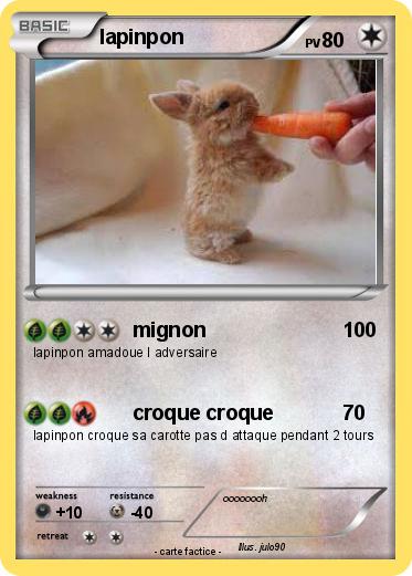 Pokemon lapinpon