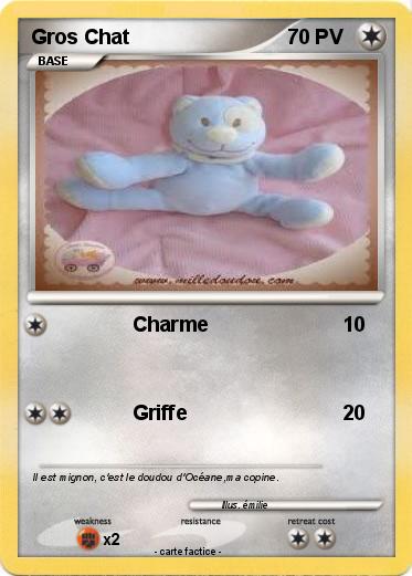 Pokemon Gros Chat