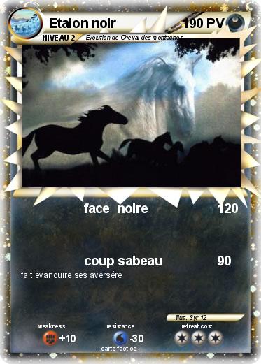 Pokemon Etalon noir