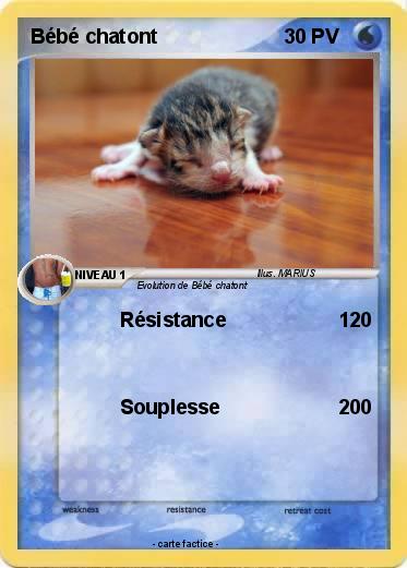 Pokemon Bébé chatont