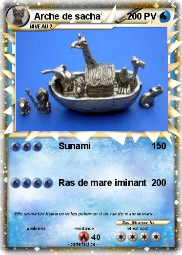 Pokemon Arche de sacha