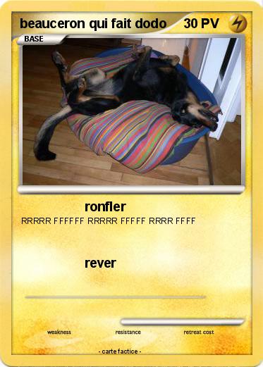 Pokemon beauceron qui fait dodo