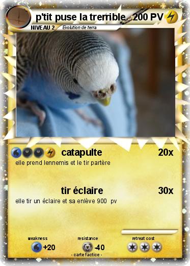 Pokemon p'tit puse la trerrible