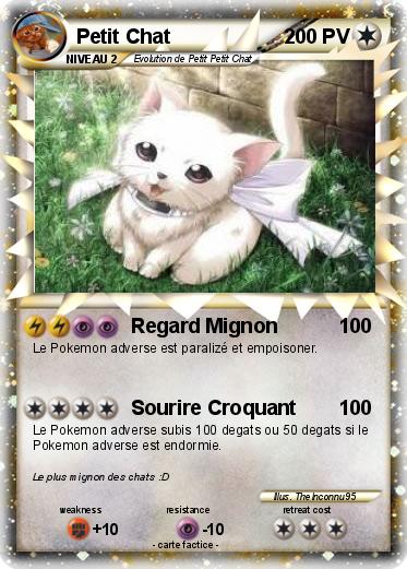 Pokemon Petit Chat