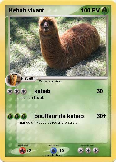 Pokemon Kebab vivant